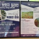 가평브릿지짚라인 이미지