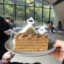 동엽농장 | [일상일기] 케일 Cayl 등산바지 / 묵리 495