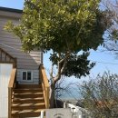 여수 댕댕이 애견 가족펜션 골드 이미지