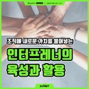 인터컨설팅 이미지