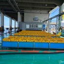 주문진항만 이미지