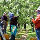 관악농협 이미지