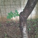 임자어린이집 이미지