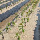 우림농원 이미지