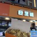 타코비 | 포항 타코야끼 맛집 타코비 포항대흥점 내돈내산 후기