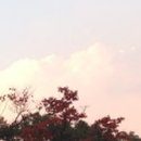 골든타임B 이미지