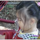 입촌농장 이미지