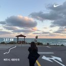 [제주도 2박3일 여행 - 2일차] 애월해안도로 모닝러닝, 스시마타네, 카페퍼시몬, 새별오름, 협재...