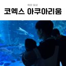 사랑방 | 6개월 아기랑 코엑스 아쿠아리움｜유모차·주차·수유실 아기사랑방 후기🐠