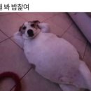 너와랑 | 울릉도 북면 숙소 추천 스테이너와 카페 너와 내돈내산 후기