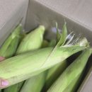 선우팜 이미지