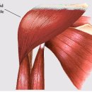 장천한의원 이미지