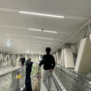 셀프골프 | 세부 진에어 셀프체크인 골프백 수화물규정 탑승 후기(새벽 막탄 공항 그랩 비용)