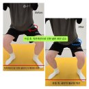 독립문체육관 이미지