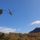 옥천동물병원 이미지