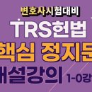 [헌법] TRS헌법 선택형 정지문 해설강의 영상입니다. 이미지