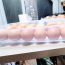 퍼털그라운드 이미지