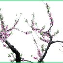 계절미용실 이미지