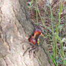 만대마을 이미지