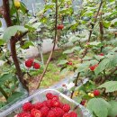 그린농원 이미지