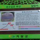 장전2교 - 평창군 | 장전2교