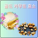 건강한 선택 그레인온 골드 카무트효소 효능 추천 골드카무트효소 카무트효소효능