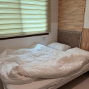 퍼니스타 | 강릉 퍼니단체펜션 솔직후기, 사근진해변 가성비 애견동반 숙소 추천