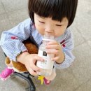 건강한 디저트 규방다과 쌀누룩 요거트 무가당요거트후기