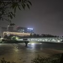 창원천 이미지