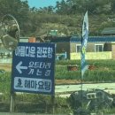 해마요팅 이미지