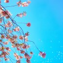 고복수변공원 이미지