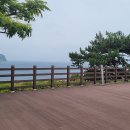 서복전시관 이미지