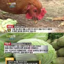 세원협동조합
