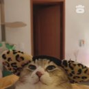 황금가라오케 이미지