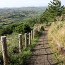 시흥리-8 | 제주 올레길 1코스 현실 난이도와 완주 시간 정리: 직접 완주 후기 가이드