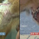 똘이농장 이미지