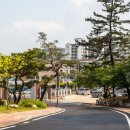 김천중학교 이미지