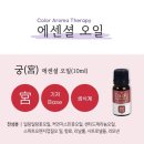궁아로마 이미지