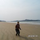 이태백야영장 이미지