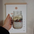 써머레인 이미지