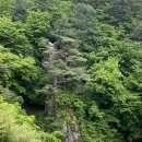 중삼여자 | 해인사 산내암자 다섯번째, 지족암