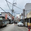 [햇살강릉 주말 걷기] 정형외과, 강릉명주예술마당, 전통재래시장, 숯불민물장어구이, 월화거리, 고래책방