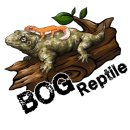 오늘머린 이미지