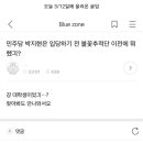 민주당 박지현은 입당하기 전 불꽃추적단 이전에 뭐했긔? 이미지