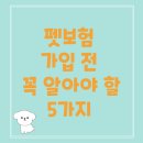 원당동물병원 | 펫보험, 가입 전 꼭 알아야 할 5가지