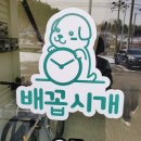 배꼽시개 이미지