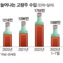 혼술 이미지