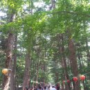 곰소농장 이미지