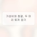 햇살맞이 민박 | 할머니 손맛 그리울 때 딱! 동해 감포에서 만난 레트로 감성 민박 탐험기