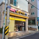 애니원애견미용 이미지